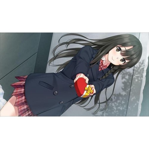 Fuyukisu Limited Edition PS4 Version Unopened Entergram Software included - Picture 19 of 20