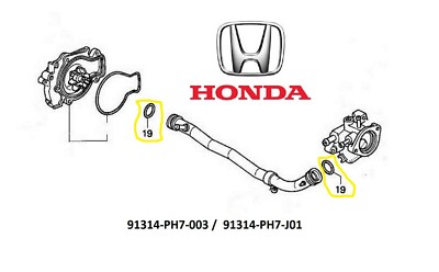 (2) OEM Honda Water Pump Hose Pipe Thermostat Coolant Connecting Pipe O-Rings 