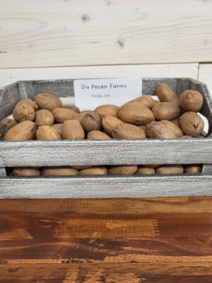 2025 Crop 5lb bag Georgia Grown In-Shell Desirable Pecans FREE SHIPPING