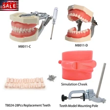 Kilgore NISSIN 200 Typodont Models M8011-C/D 28 Pcs Teeth Cheek Kit Soft Gingiva