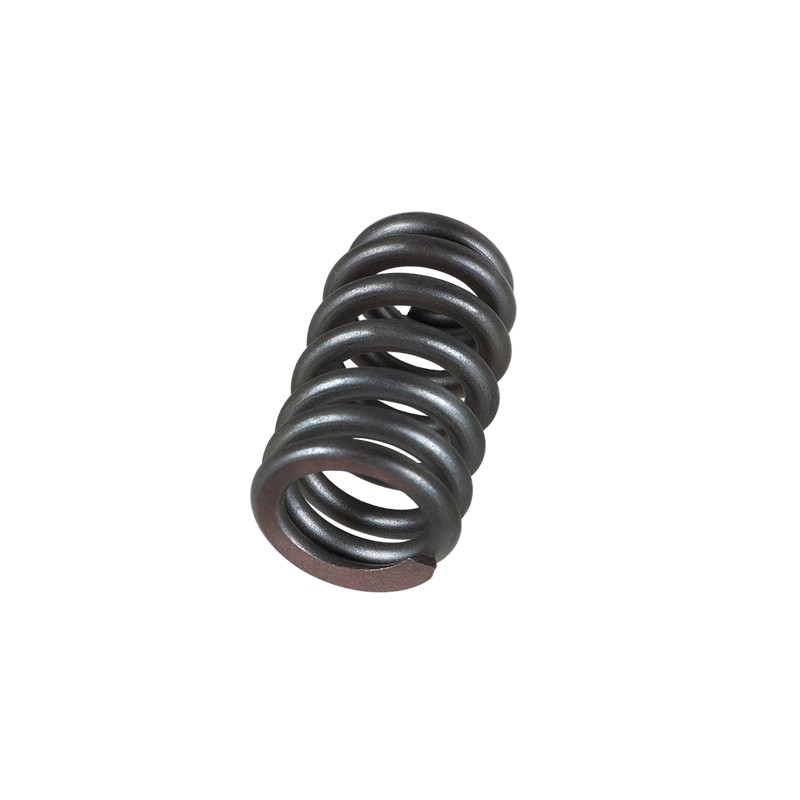 For GM Speed Chopacabra LS Truck Cam Kit with Install & Pushrods 4.8 5.3 6.0L