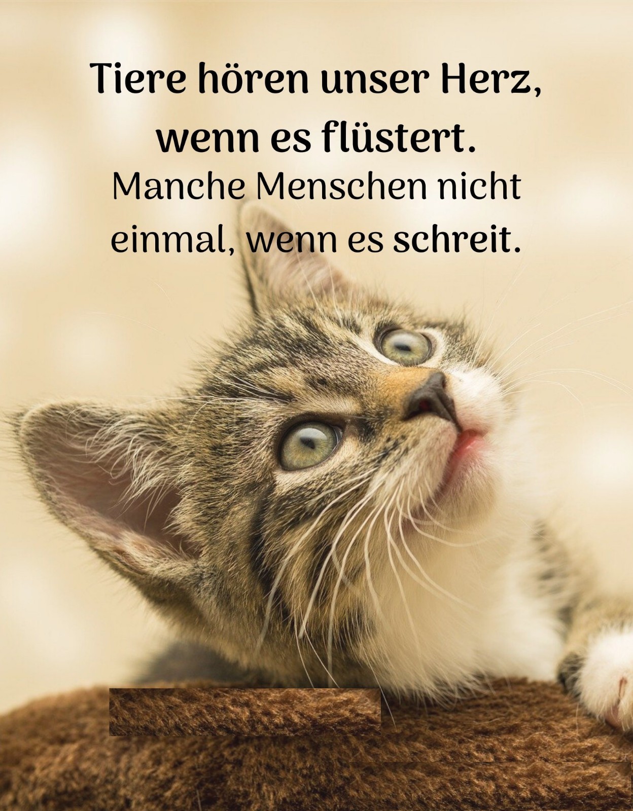 Bild 5 von 5