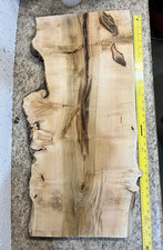 Stunning Live Edge Maple Wood Burl Slab 30''x15.5''x1 3/8'' Thick