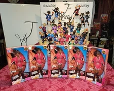 WNBA (5) 1998 NBA Barbie Chicago Bulls 20693