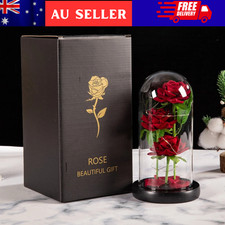 Three Rose in Glass Dome Eternal Flower LED Valentine's Day Wedding Decor Gift