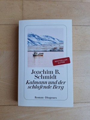 Kalmann und der schlafende Berg von Joachim B. Schmidt (Taschenbuch)