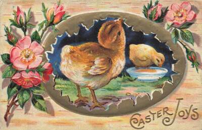 c1910 Fantasy Chicks Inside Huge Gold Egg Eating Embossed  Easter P157