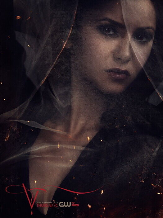 vampire diaries season 5 poster