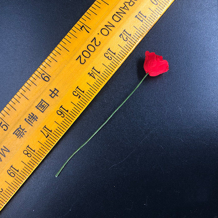 Modelo Rosa Escala 1/6 para Accesorios Escena Figura 12"