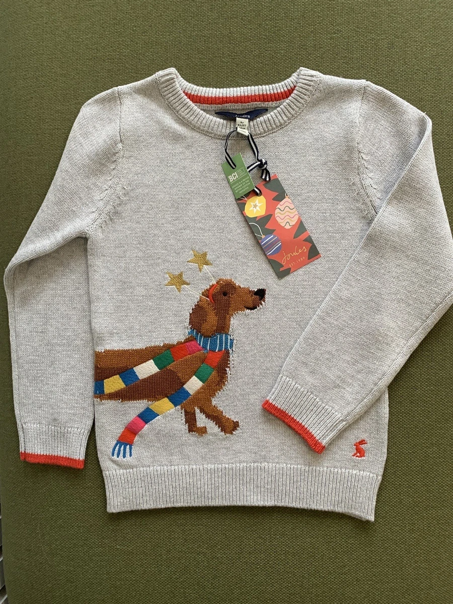 Joules boys deals christmas jumper