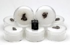 Campo del Cielo Iron Meteorite Specimen SHOOTING STAR w/ Display Case & ID card — photo 3