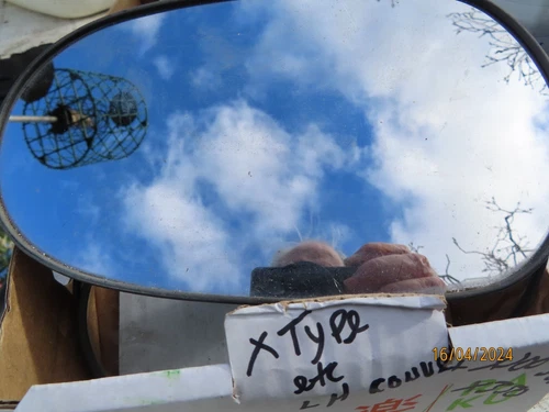 JaguarX350 , X type etc  Left hand Heated door mirror glass convex