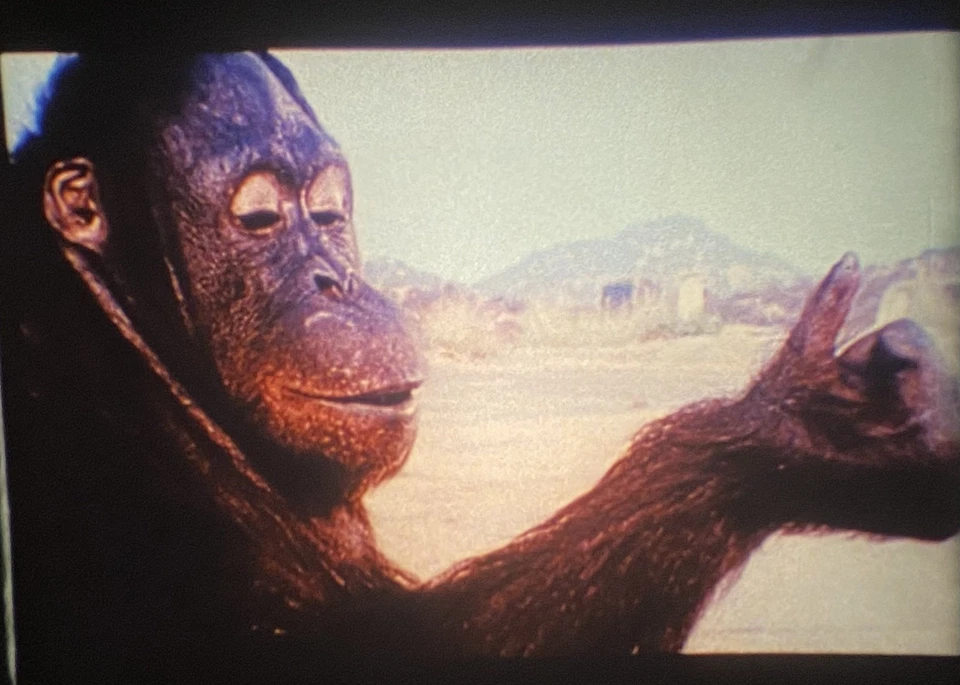 Super8 Werbespots UK: GIN, CAKE, DIPPERS und NUTS u.a. engl. Magnetton - Bild 4 von 4