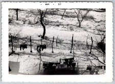 Vtg B&W Snapshot Winter Snow Yard Clothesline Hanging Laundry March 1957