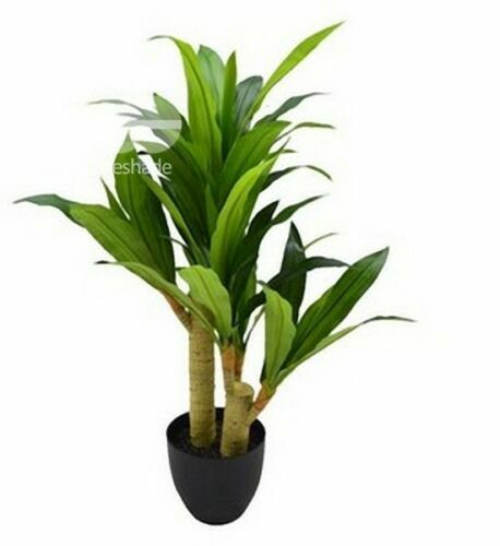 Stefanplast ETHICA Vase – Ø 25 Cm, Farbe Graphite | Modernes Design Für Blumen & Deko