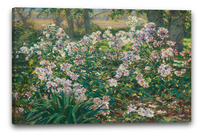 Kunstdruck Ruger Donoho - Windblumen