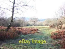 Photo 6x4 Holmwood Common South Holmwood Looking West towards Redlands Wo c2006