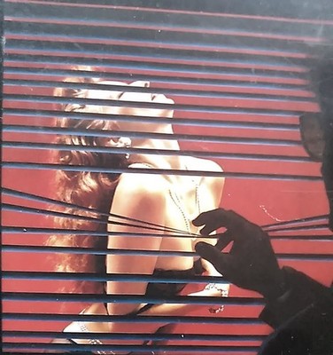 Brian de Palma: Body Double /DTSCH -Erotik -nude -Melanie Griffith -Klaustrophob