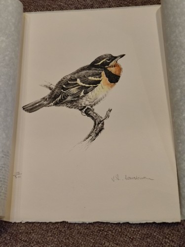 Vintage Print VARIED THRUSH Bird LOVERS JAMES FENWICK Lansdowne mint SIGNED  - Afbeelding 1 van 9
