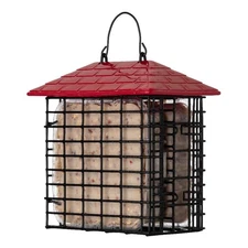 Double Suet Feeder with Weather Guard Wild Bird Feeder Cage Hanging Outdoor