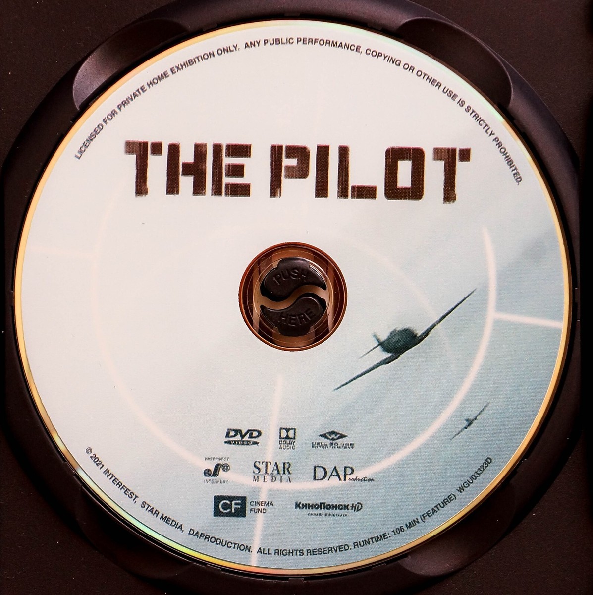 The Pilot: A Battle for Survival [DVD/2021] Based on a True
