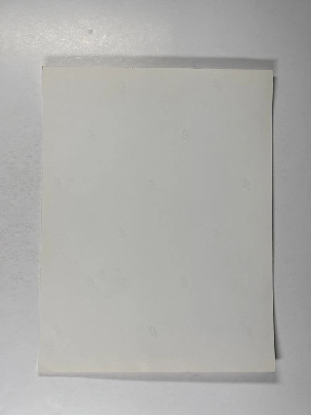 Bob Marley フォトオリジナル 白黒島レコードプロモーション 1970年代頃 - 画像2/12