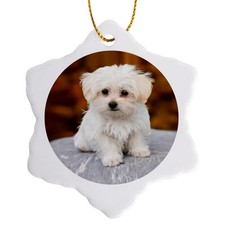 3dRose, Maltese. Cute little puppy., Ornament