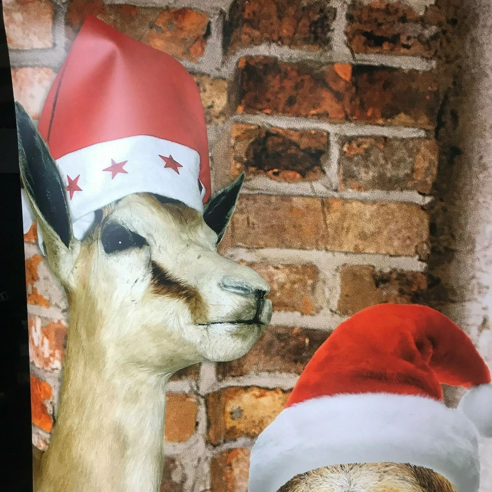 Fondo de Navidad para fotos, ventanas, puertas utilería fotográfica autónoma Foto 4 de 4