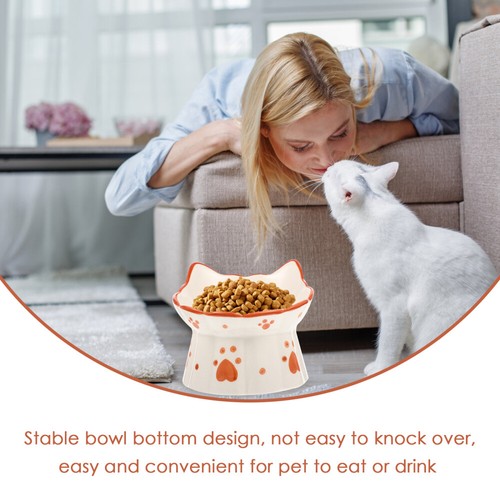 Prevent Overturning Food Bowl Kitten Cat Water Dish High Elevated - Picture 11 of 12