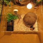 Bild 9 von 11