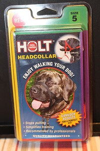 holt head collar