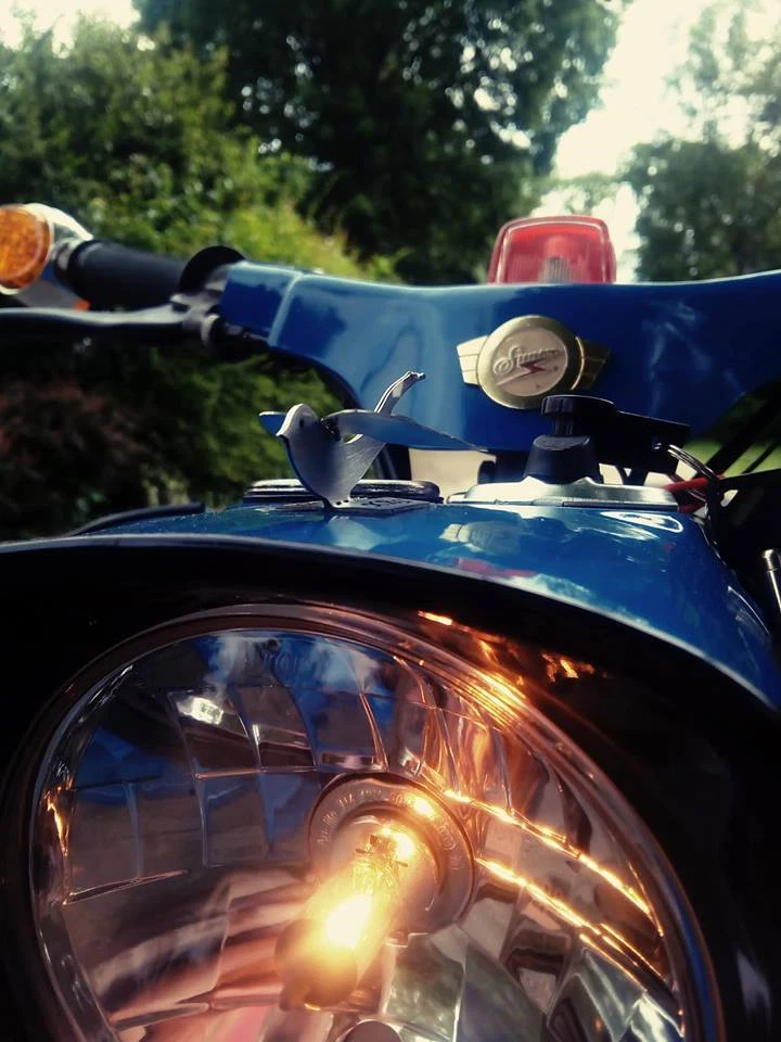 Kühlerfigur Schwalbe für Simson Schwalbe KR51/1 - KR51/2 - Kotflügel Lampenmaske - Bild 4 von 4