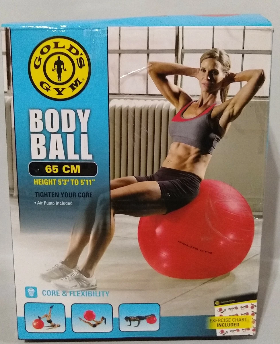 Gold's gym 2025 65cm body ball