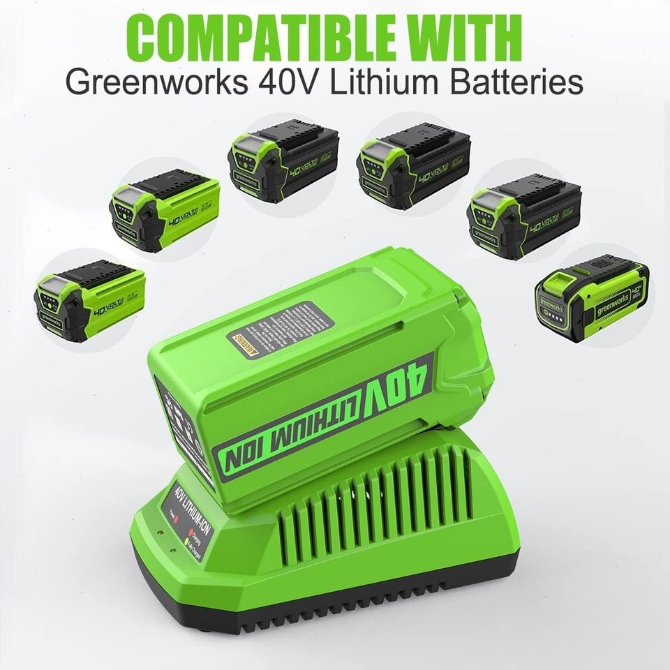 Risultati Per Batteria Greenworks 40v G MAX - Foto 5