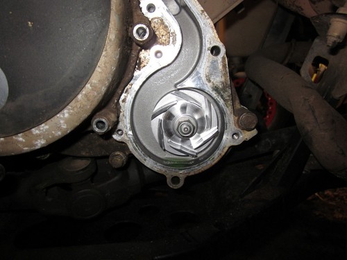Polaris RZR Sportsman Ranger Water Pump Rebuild Kit - Seals, Driver, Impeller - Picture 7 of 9