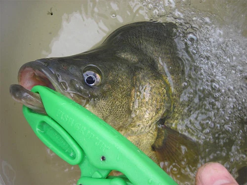 The Original "FISH GRIP" - Junior GREEN - (Item: FG01-3780-G-JR) - Picture 3 of 9