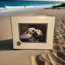 Greatland Greetings Sea Otter Secrets, Alaska 8x10 Double-Matted Fine Art Photo