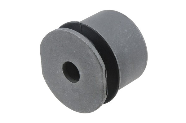 Nty Buchse Querlenker FÜR Toyota Avensis 03-08 Toyota Scion Tc 04-10 /Hinte-image