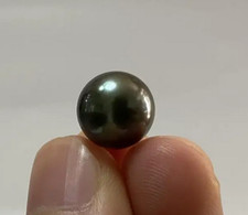 Huge 14-15mm South Sea Genuine Black Round Loose Pearl Undrilled 102096