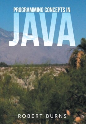 Burns - Programmierkonzepte in Java - Neues Hardcover- oder Gehäusebuch - J555z