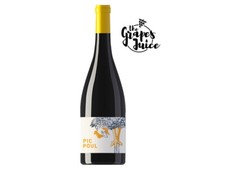 Les Équilibristes Pic Poul 2021 Vin Blanc Bio Picpoul De Pinet France