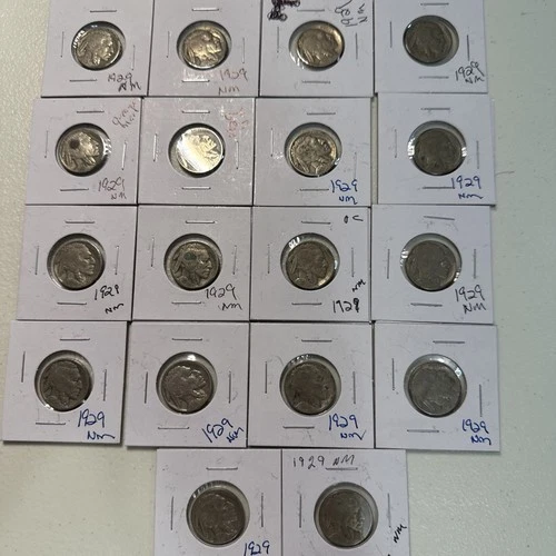 1929 Buffalo Nickels Lot #1 Of 18 Nickels All In Good Condition Or Better