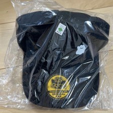 Pokemon Pokoa Pokopia Ditto Gorra Sombrero EDICIÓN Pedido Previo Bono Japón Limitado Nuevo
