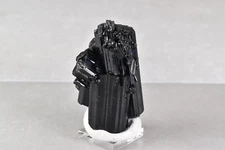 Lustrous Black Schorl Tourmaline from Madagascar 7.1 cm   # 20625