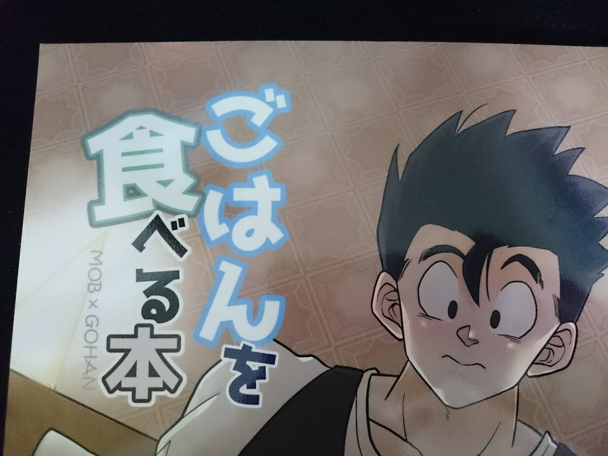 Dragon Ball Doujinshi MOB X GOHAN (B5 34pages) pain Gohan wo