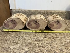 Eastern Red Cedar Wood for Bandsaw Boxes or other Craft Projects