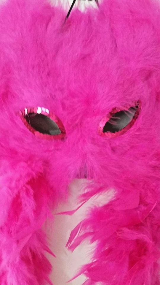 Mardi Gras 12 Collares de Cuentas 12 Selecciones de Cuentas 6 Plumas Máscara de Ojos Paquete de Fiesta Todo Nuevo con Etiquetas Foto 4 de 4