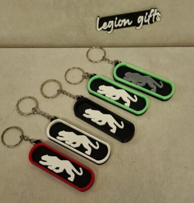 Key fob For ford puma mk2 owners ST stline x titanium vignale key ring cat  gift UK