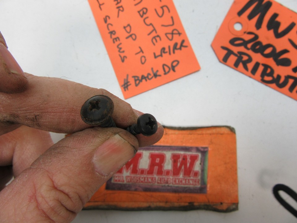 SCREW SCREWS REAR DOOR PANEL TO DOOR SHELL LEFT RIGHT DRIVER PASSENGER ...