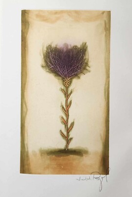 J.J.J. Rigal, Les Centaurees from the Herbier Portfolio Etching signed 1967